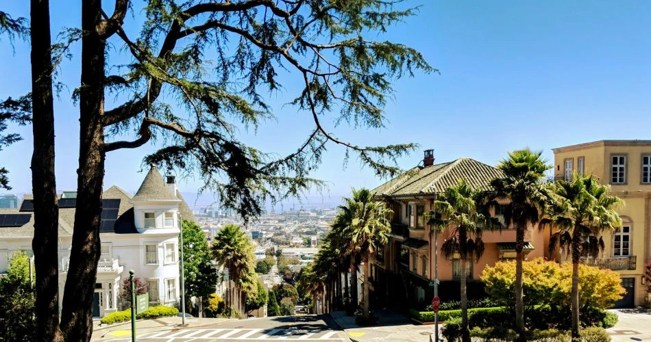 10 Stunning Parks You Can't Miss in San Francisco