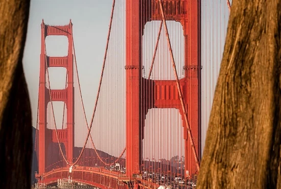 Unforgettable Adventures: Attractions and Activities in San Francisco